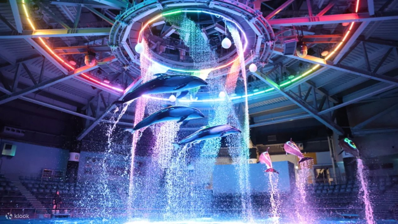 🐬 맥셀 아쿠아파크 시나가와 이미지 9